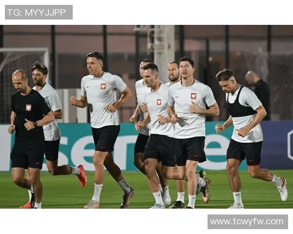 丹麦与波兰世预赛2017精彩对决回顾与分析