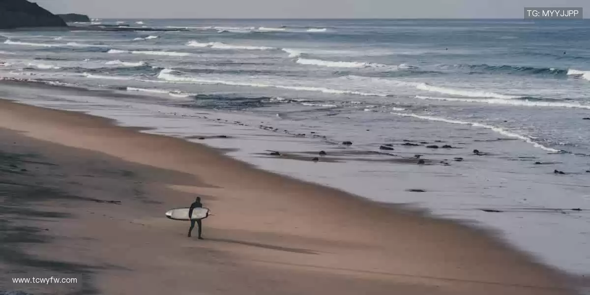📺独家内容,随时回看!⏯️